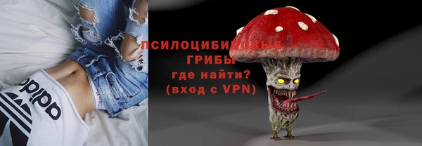 PSILOCYBIN Протвино