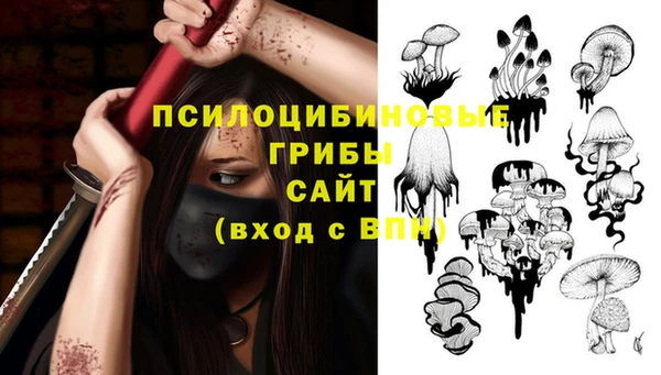 дживик Рославль