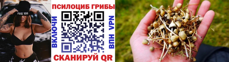 kraken как зайти  Рязань  Псилоцибиновые грибы GOLDEN TEACHER  где можно купить  
